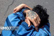 شرور مسلح قبل از اقدام مجرمانه در "هامون" زمین گیر شد