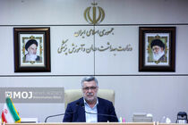 وزیر بهداشت راهکار ترغیب به جوانی جمعیت را موج‌سازی دانست