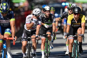 تصادف شدید 2 رکابزن سرشناس در توردوفرانس