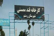 ضرورت احیای کارخانه قند ممسنی با تصمیمات اصولی و مدیریتی کارشناسانه