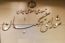 شورای نگهبان به اصلاح موادی از قانون اجرای سیاست‌های کلی اصل ۴۴ ایراد گرفت