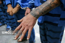 انهدام هسته داعش در تهران/ عملیات نفس‌گیر پلیس تروریست‌ها را به دام انداخت