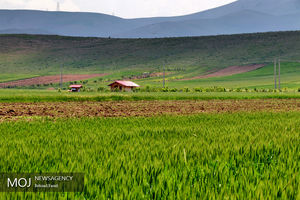طبیعت بهاری کرمانشاه