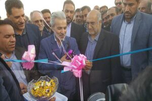 بازدید معاون رئیس جمهور از طرح‌ های بنیاد مستضعفان در قلعه‌گنج