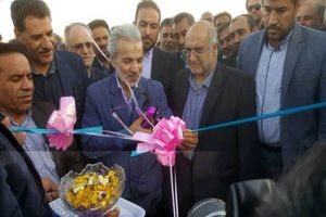 بازدید معاون رئیس جمهور از طرح‌ های بنیاد مستضعفان در قلعه‌گنج