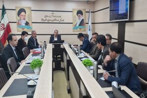 پتروشیمی هلیلان نیازمند توجه و حمایت دولت است