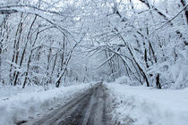 آغاز بارش برف و باران در مناطق غربی استان اصفهان / کاهش 5 درجه ای دمای هوا
