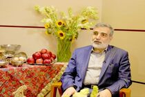 این حق ایران است که برنامه صلح‌آمیز هسته‌ای خود را توسعه دهد