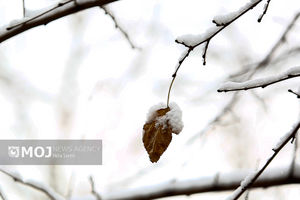 فردا چهارشنبه برخی مدارس در استان اردبیل  تعطیل است