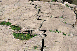 حرکت گسل‌ها با منشا طبیعت یا دخالت انسان سبب وقوع زلزله 