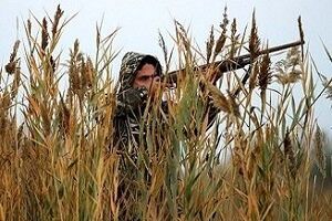 متخلف شکار در سیریک دستگیر شد