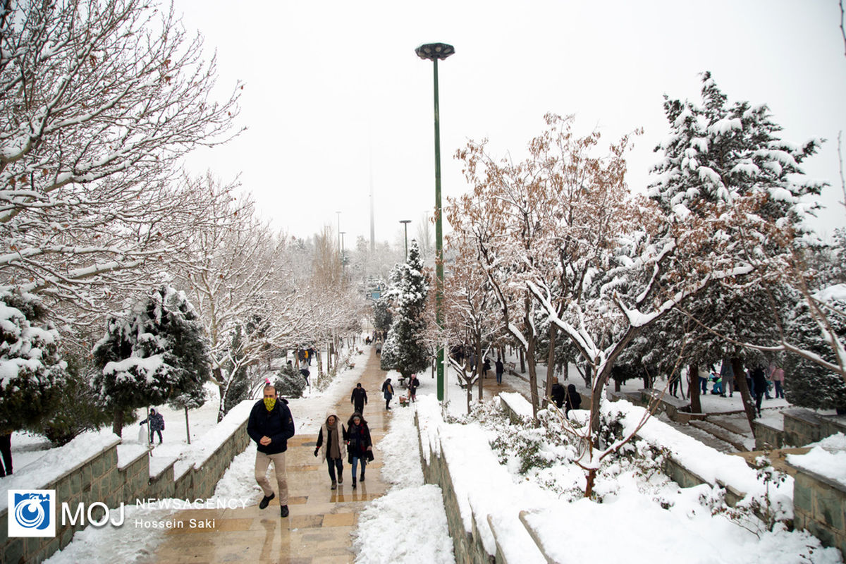 بارش برف در تهران