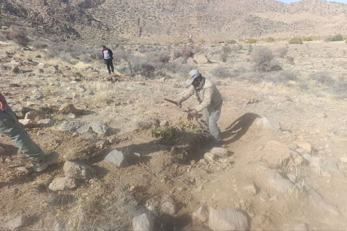 حفاظت محیط زیست فارس 