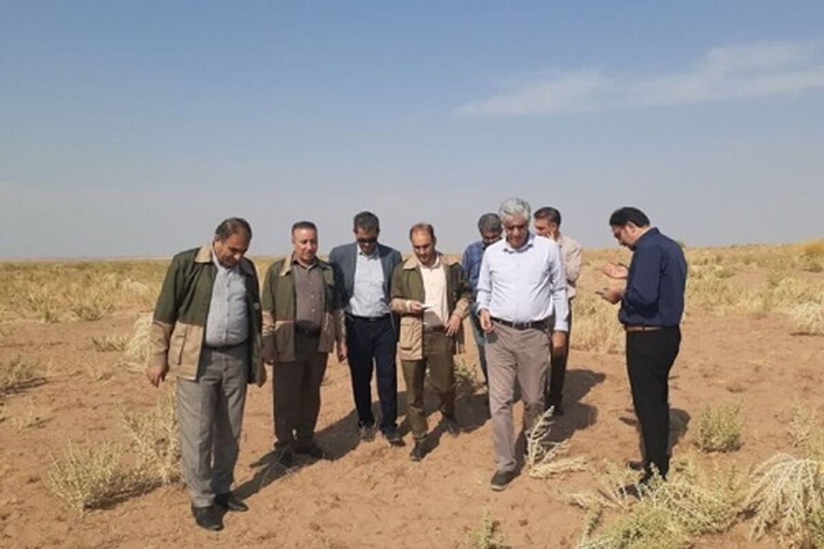 منابع-طبیعی-ایلام-17