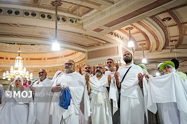 رئیس سازمان حج و زیارت پای حرف‌های زائران نشست