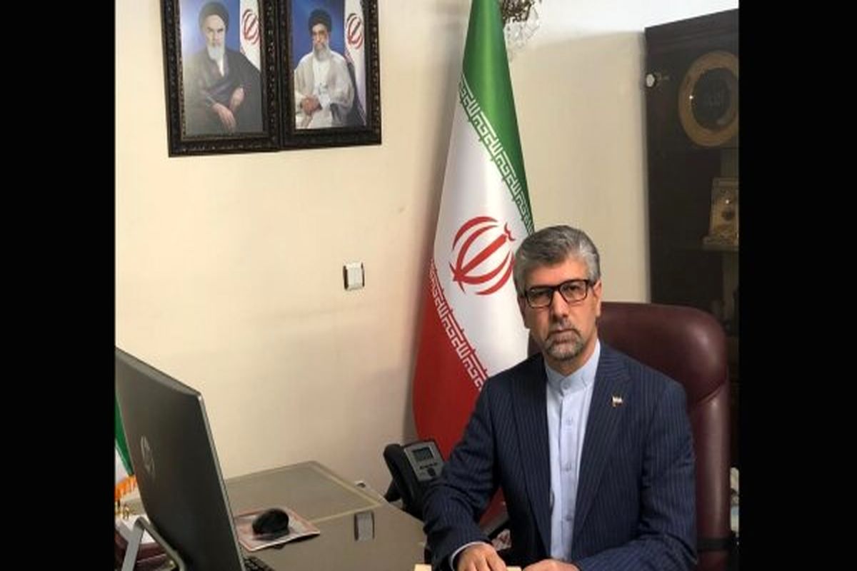 سجاد سلطان‌زاده