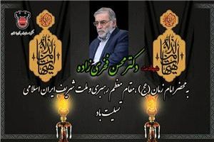 پیام تسلیت مدیرعامل ذوب‌آهن اصفهان در پی شهادت شهید محسن فخری ‌زاده