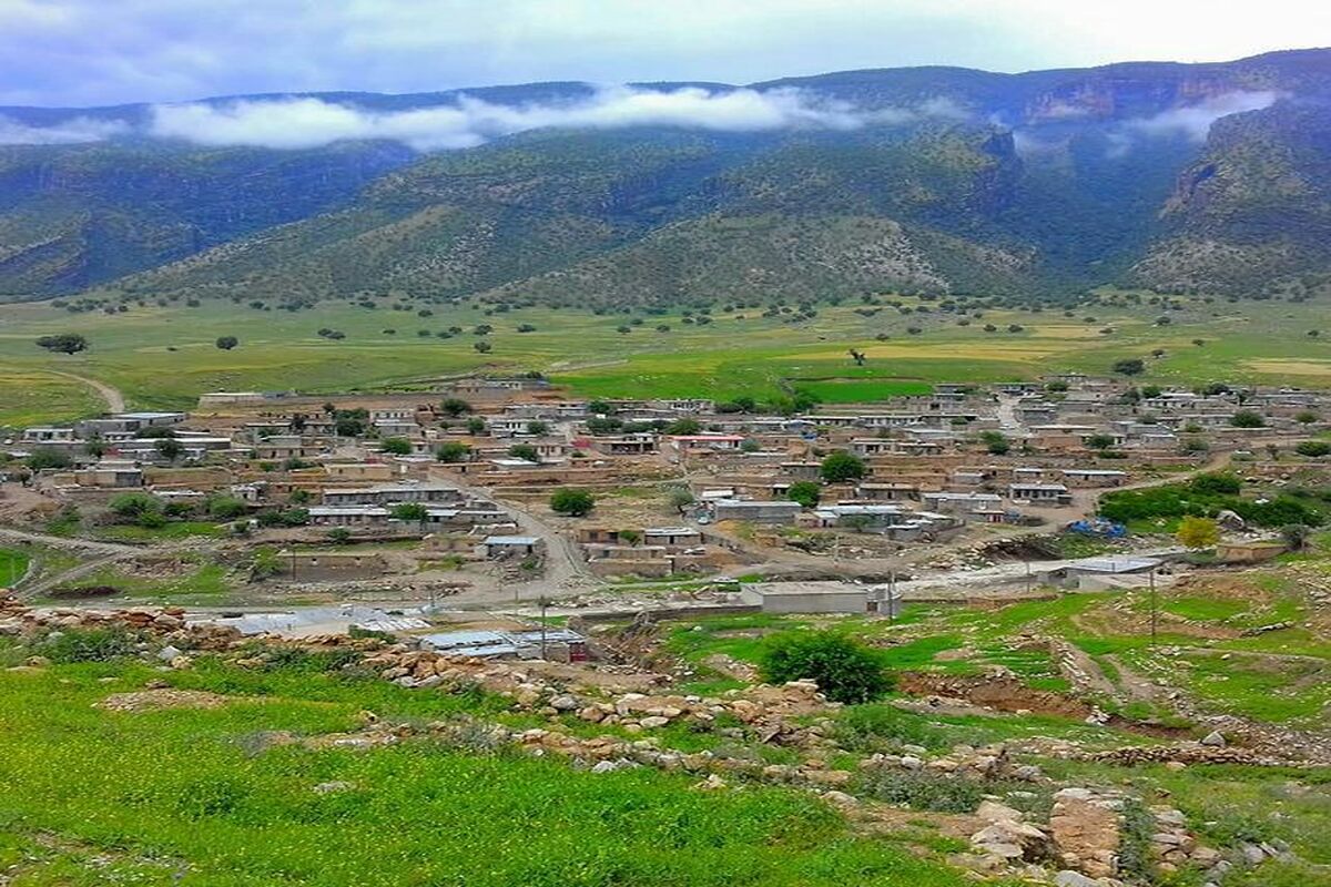 حسن گاوداری