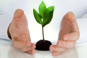 استقلال مالی زنان خانه دار با بیمه عمر و زندگی