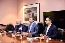 معاون وزیر خارجه به هند سفر کرده است