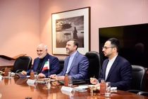 معاون وزیر خارجه به هند سفر کرده است