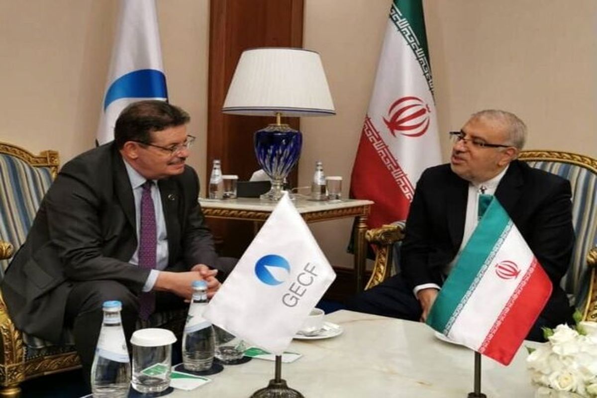 دیدار وزیر نفت با دبیرکل GECF