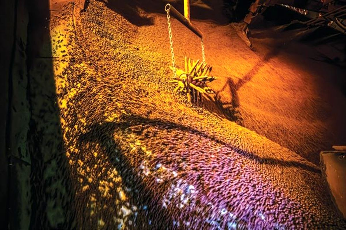 فولاد مبارکه اصفهان