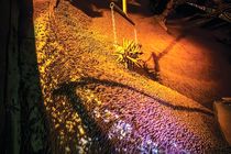 پاییز 1404؛ بهار تولید در فولاد مبارکه