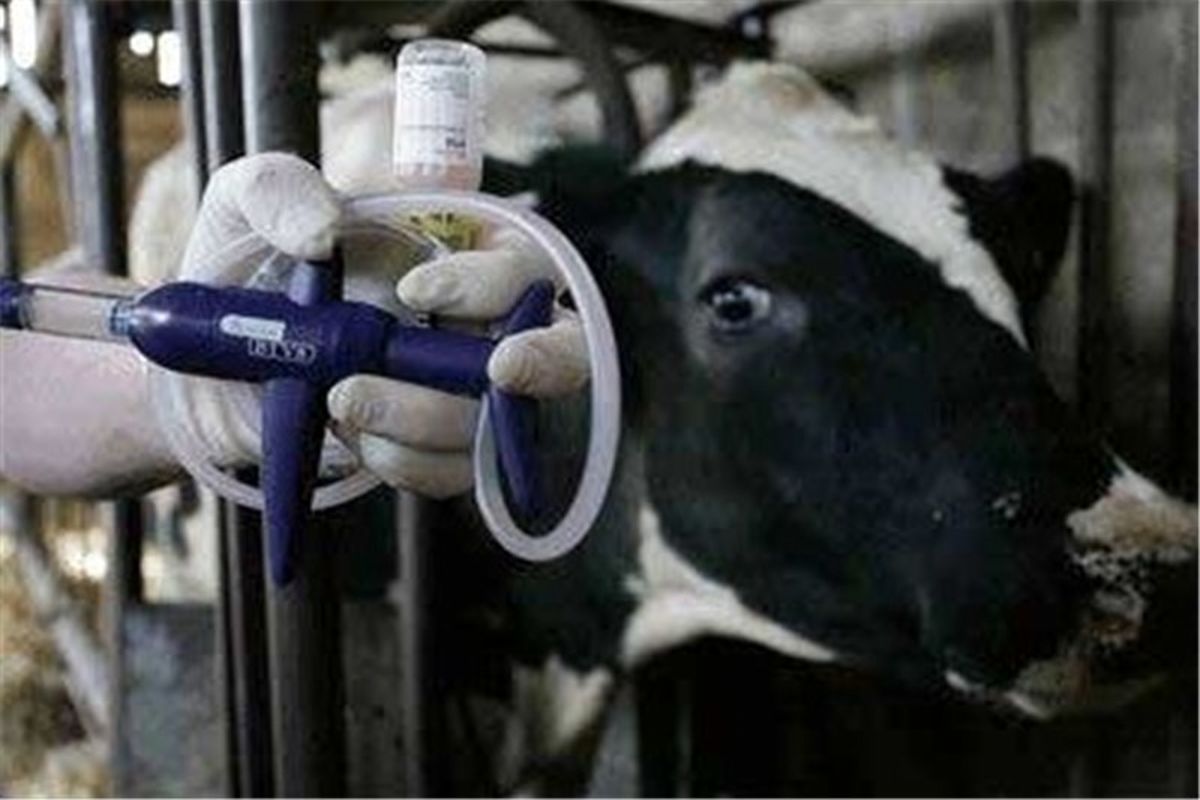  مبارزه با بیماری‌های واگیر 