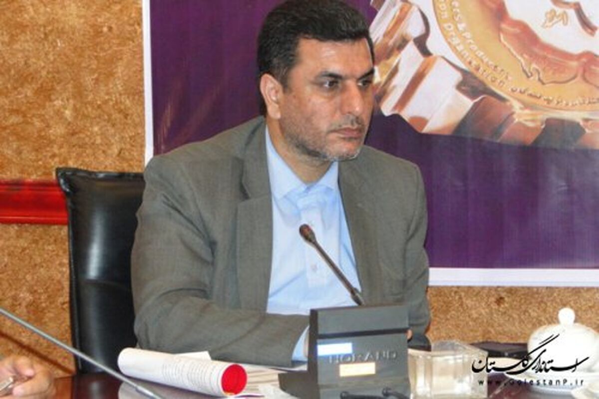 حسن زاده