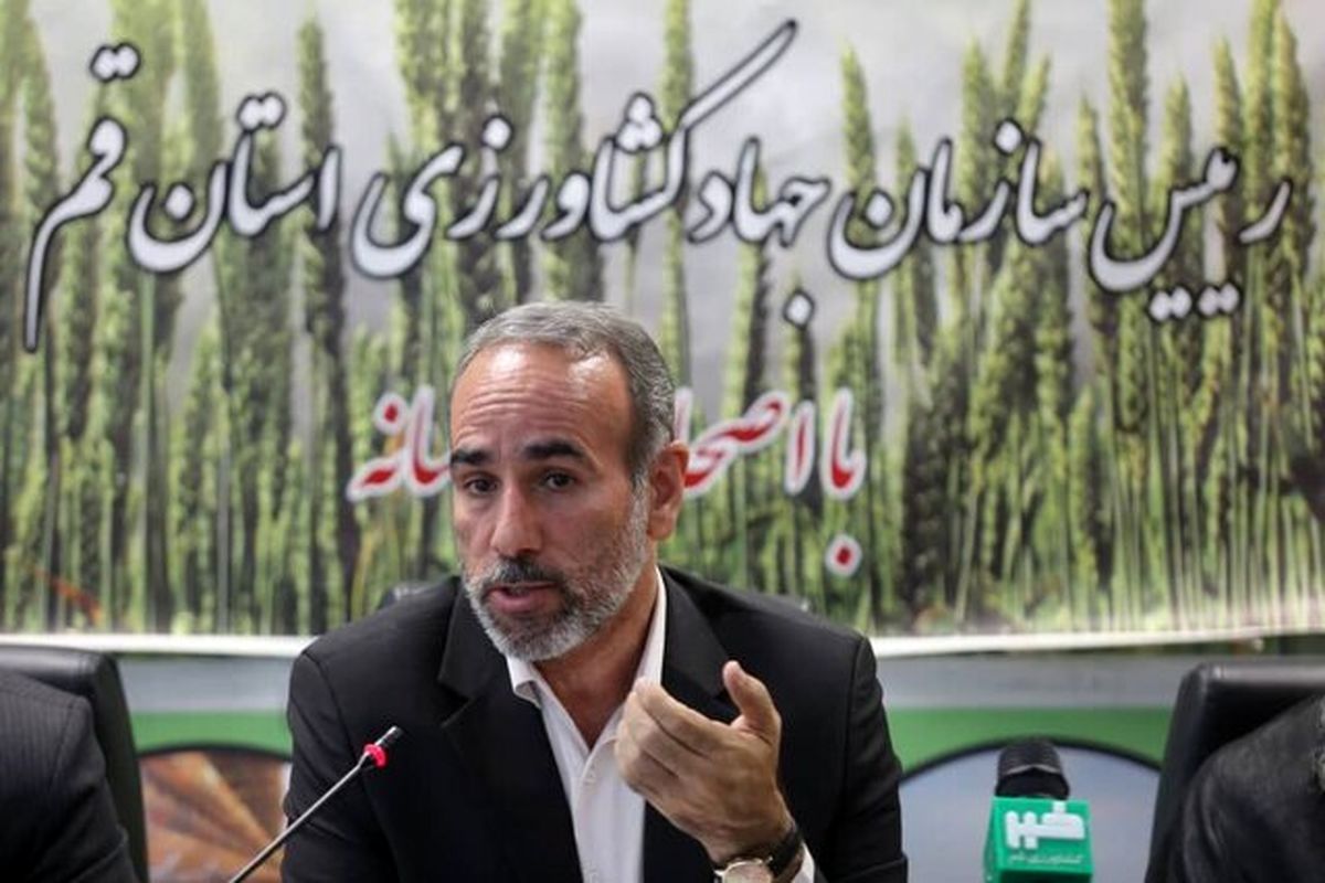 محمد رضا حاجی رضا