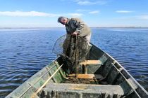 کشف ادوات صید غیرمجاز در قشم