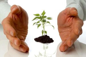 محصولات و تاسیسات بخش کشاورزی بیمه شوند 