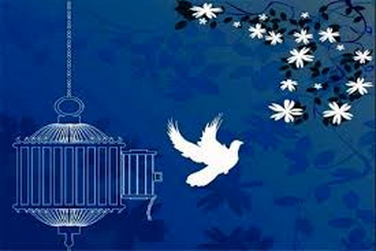 آزادی زندانیان جرایم غیرعمد 