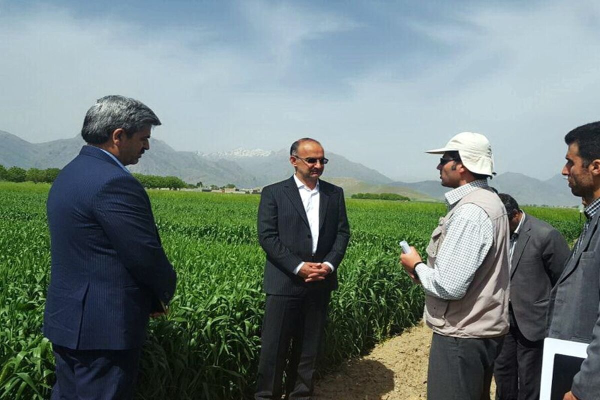معاون استاندار کرمانشاه