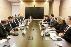 ساز و کار‌های مالی بریکس نقشی تعیین‌کننده در تضمین امنیت غذایی دارد