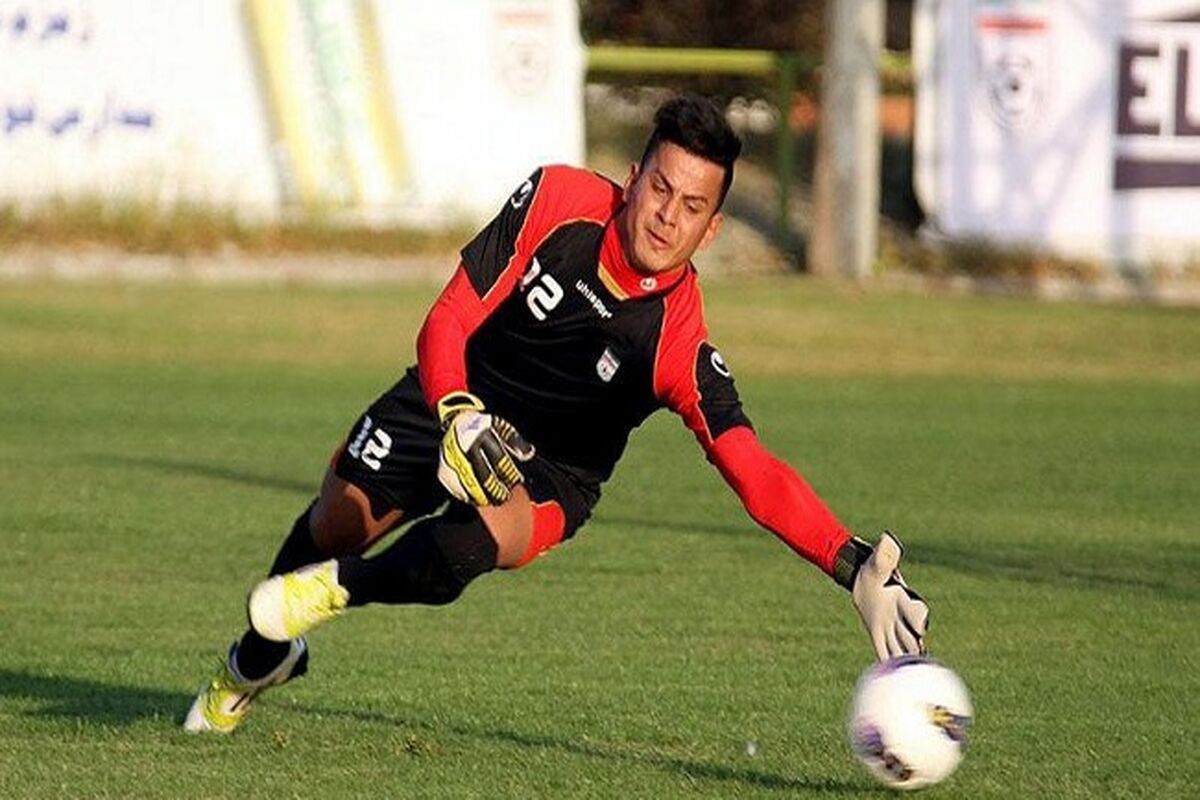 حامد لک