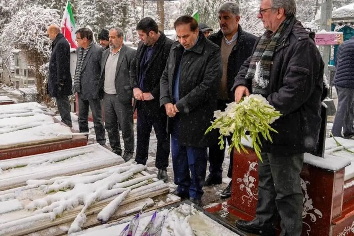 قوه قضاییه