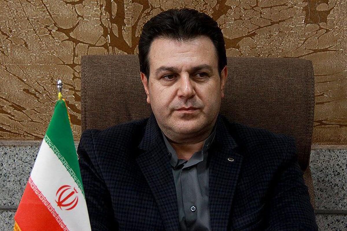 حمید هاشم زاده