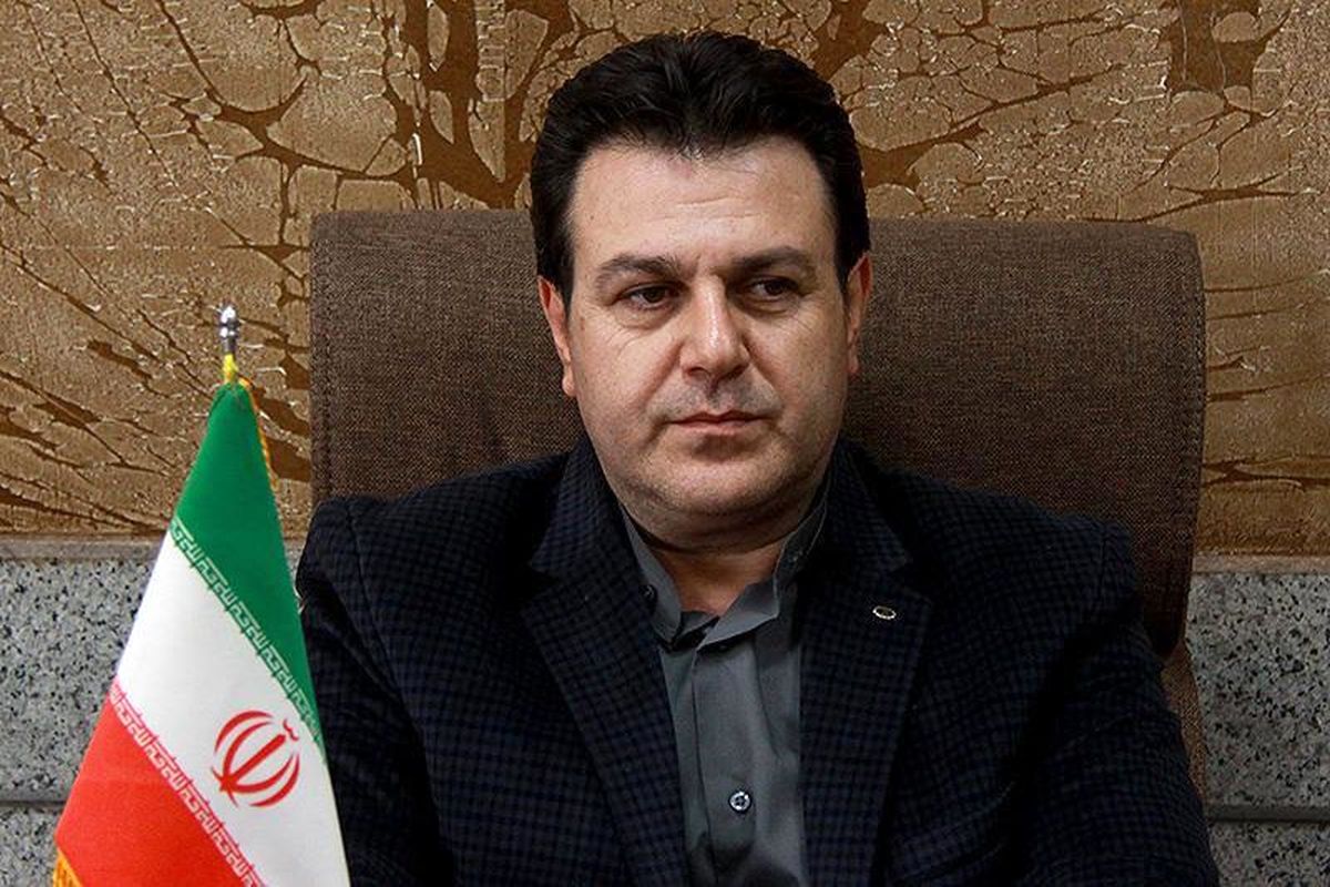 حمید هاشم زاده