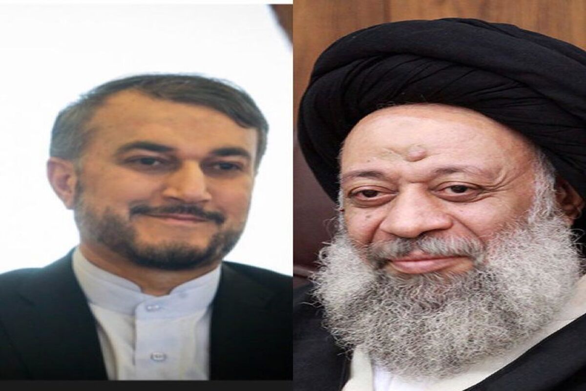امیر عبداللهیان