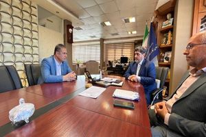 شرکت‌های تعاونی استان از ظرفیت بانک توسعه‌ استفاده کنند