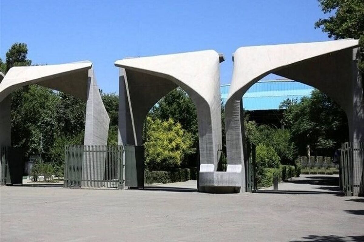 دانشگاه تهران