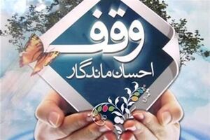  ۱۰ هزار رقبه وقفی مازندران به صورت هدفمند مورد بازرسی میدانی قرار می گیرد