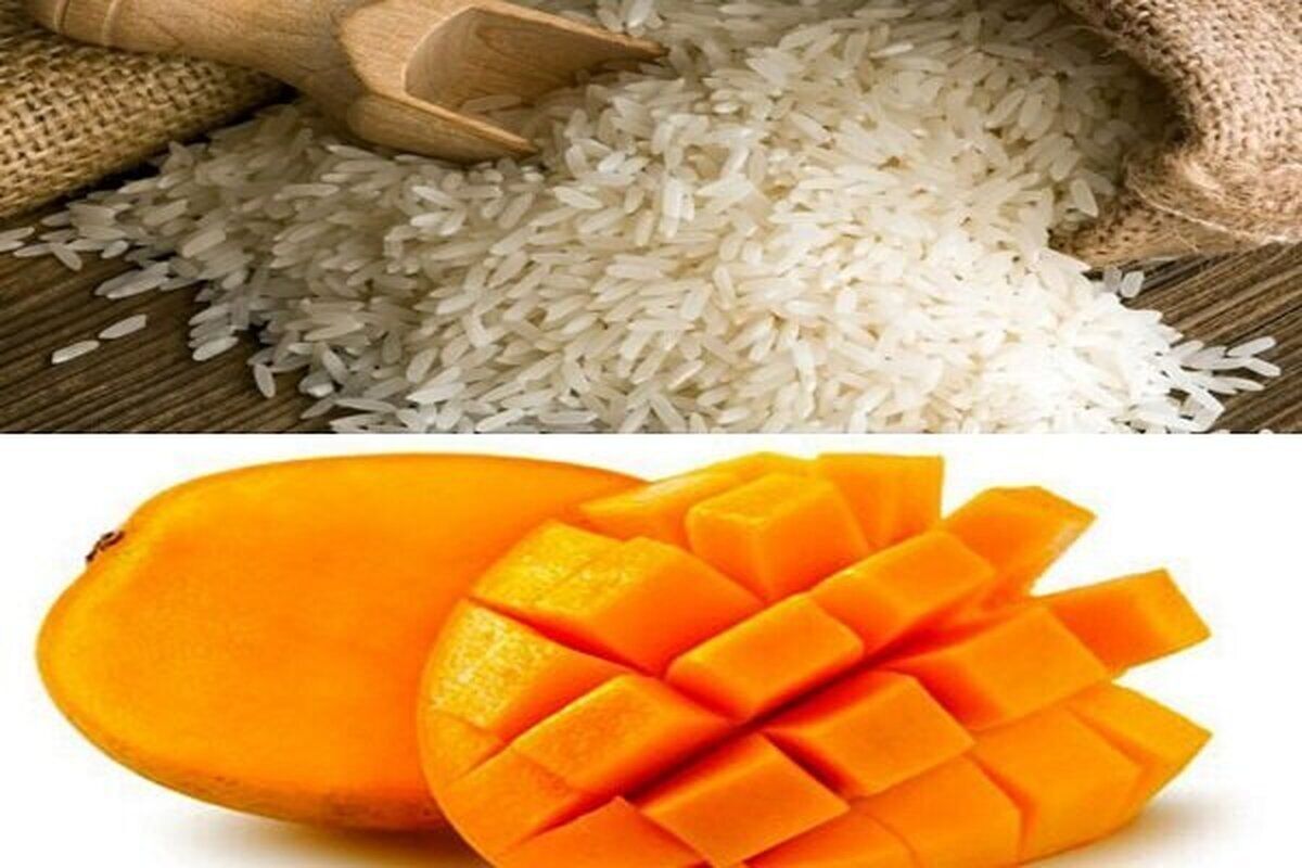 انبه و برنج