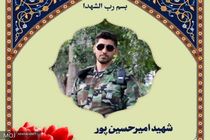 شهادت بسیجی حافظ امنیت در تبریز