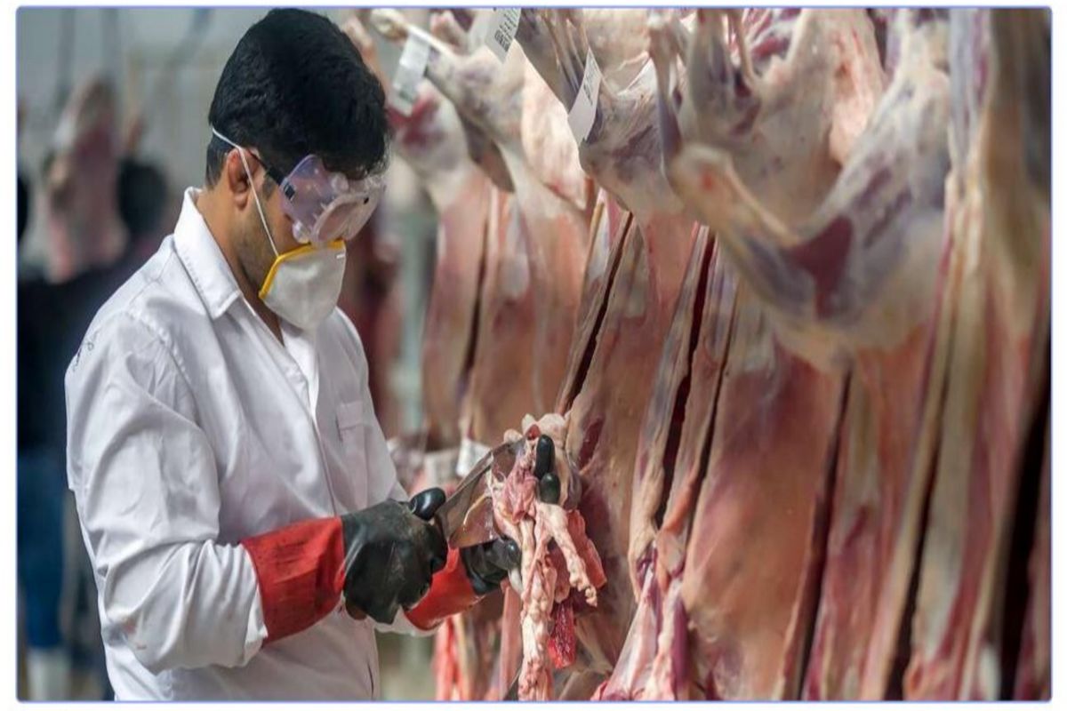 ذبح بهداشتی دام 