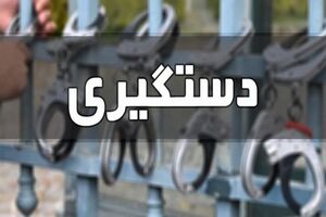 عوامل خائن مرتبط با رسانه‌های دشمن در فارس شناسایی و دستگیر شدند