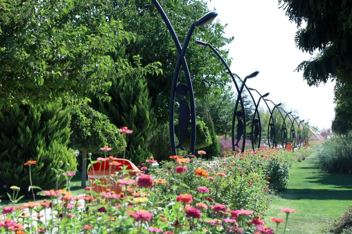 شهرداری محمدیه