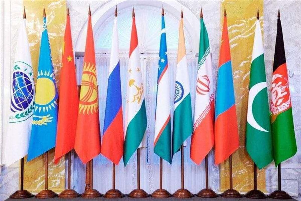 سازمان همکاری شانگهای 